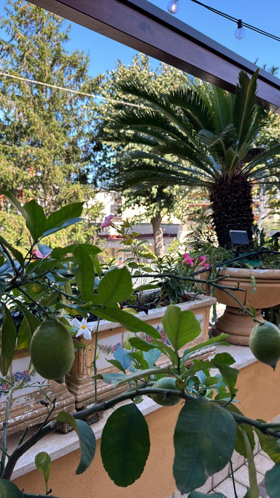 Relais Sorrento Terrace And Relax Bed & Breakfast Exterior foto